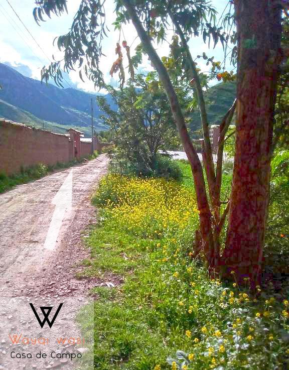 Wayqi Wasi Pensionat Pisac Exteriör bild