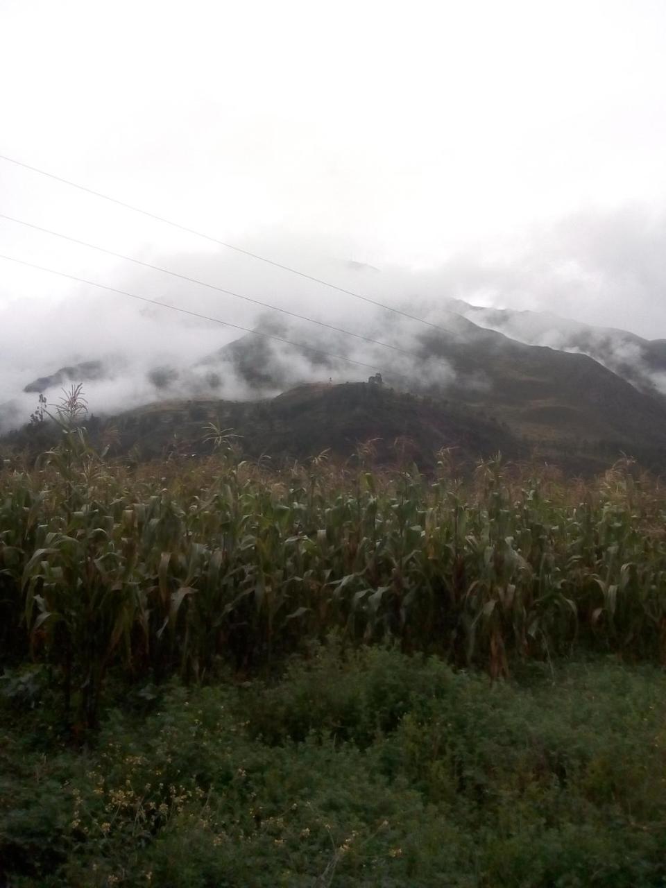 Wayqi Wasi Pensionat Pisac Exteriör bild